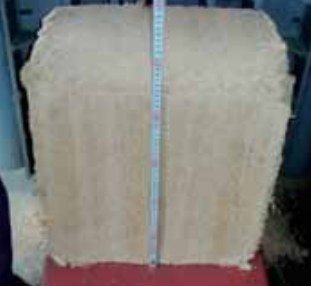 Horizontal Briquetting Baler — photo 2 of 3